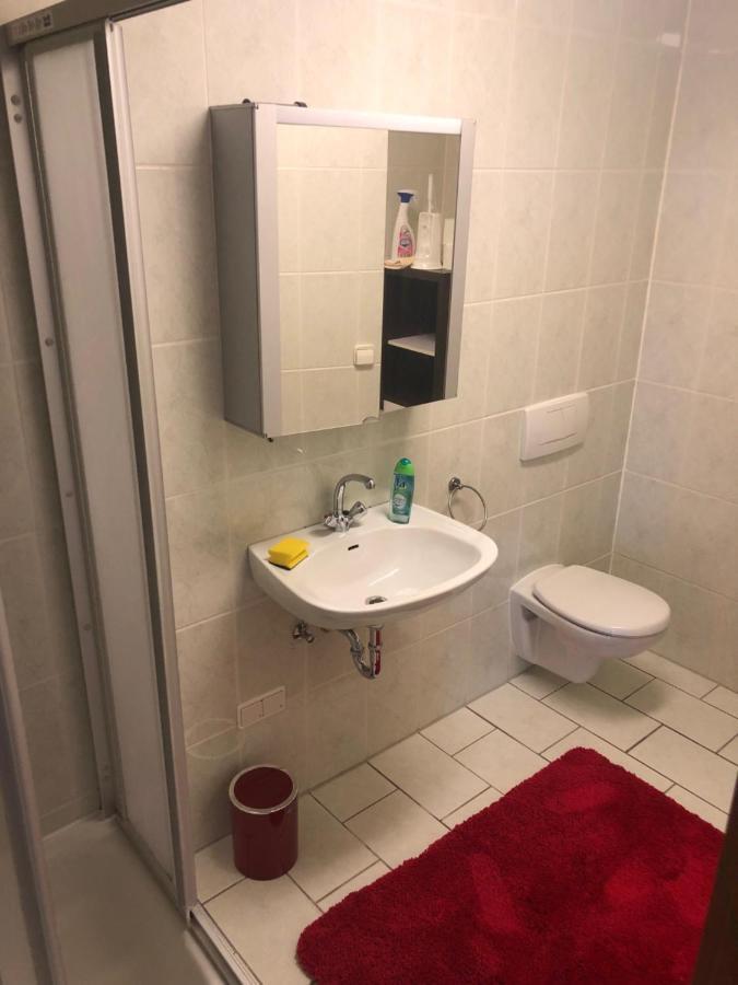 1-Zimmer Apartment, 45 Qm, Im Weinort Neustadt-Duttweiler Neustadt an der Weinstrasse Ngoại thất bức ảnh