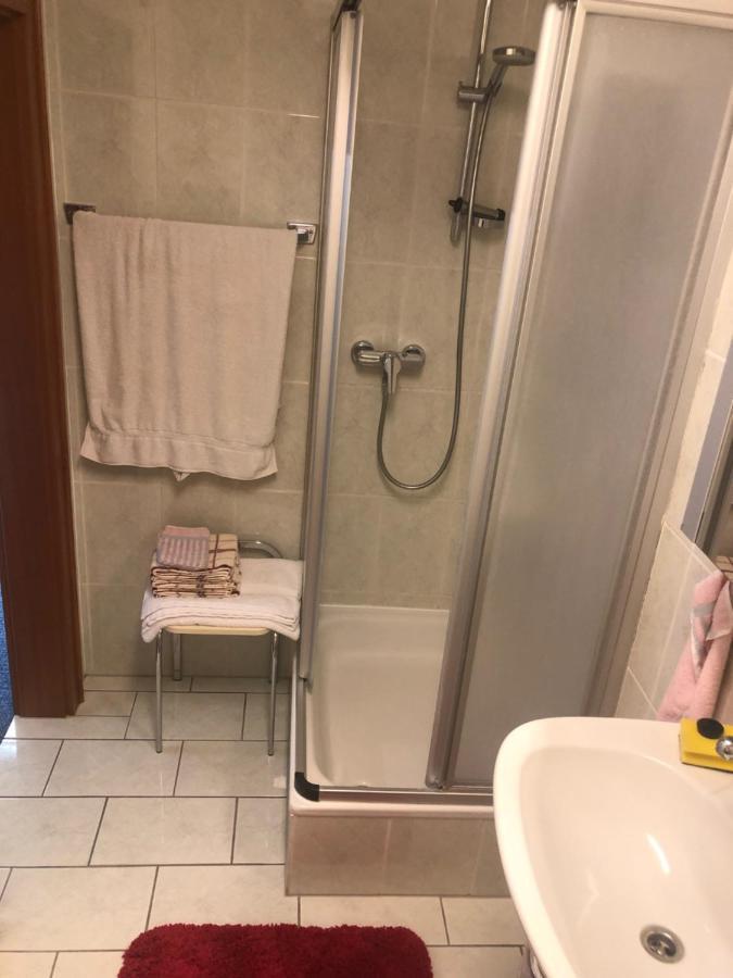 1-Zimmer Apartment, 45 Qm, Im Weinort Neustadt-Duttweiler Neustadt an der Weinstrasse Ngoại thất bức ảnh