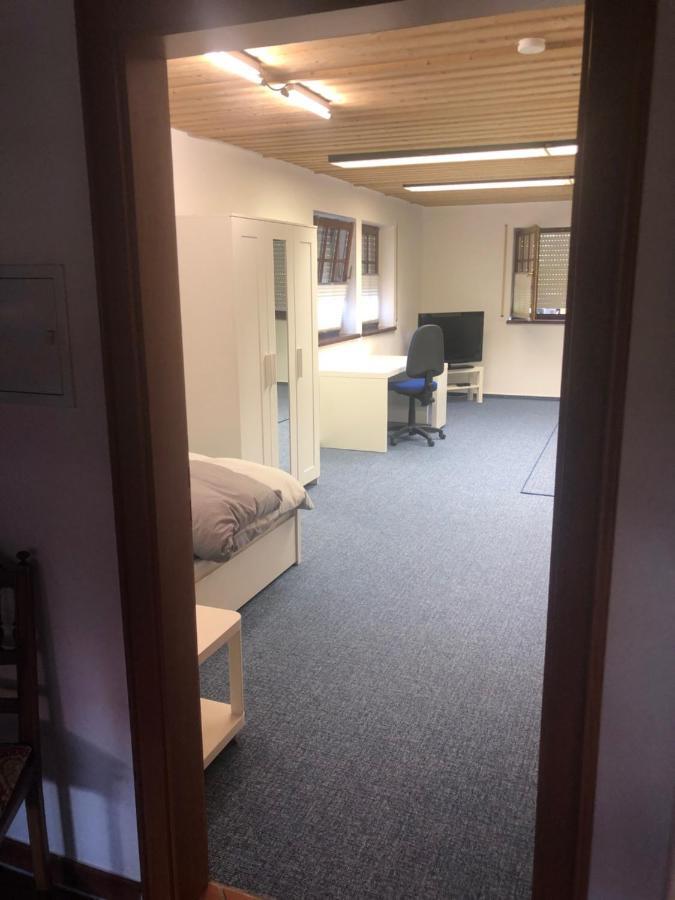 1-Zimmer Apartment, 45 Qm, Im Weinort Neustadt-Duttweiler Neustadt an der Weinstrasse Ngoại thất bức ảnh