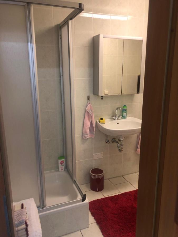 1-Zimmer Apartment, 45 Qm, Im Weinort Neustadt-Duttweiler Neustadt an der Weinstrasse Ngoại thất bức ảnh