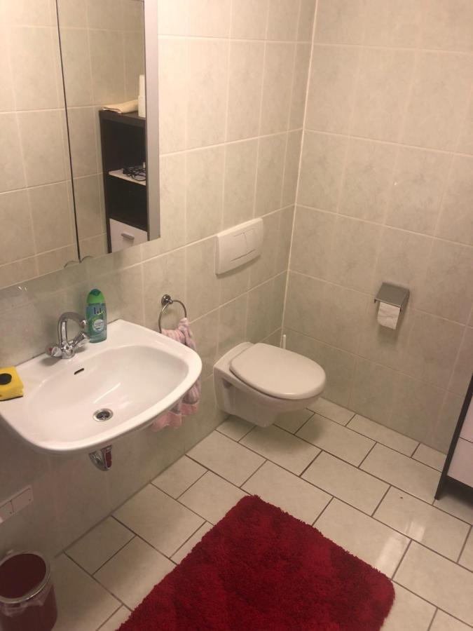 1-Zimmer Apartment, 45 Qm, Im Weinort Neustadt-Duttweiler Neustadt an der Weinstrasse Ngoại thất bức ảnh